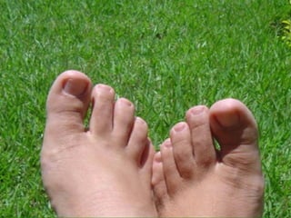 Não quero ver os ponteiros do relógio avançando em reuniões de "confrontação", onde "tiramos fatos a limpo". Detesto fazer acareação de desafetos que brigaram pelo majestoso cargo de secretário geral do coral.  