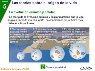 UNIDAD
3
Biología y Geología 4.º ESO
UNIDAD
5
Las teorías sobre el origen de la vida
1. Supone que en
el océano primitivo
surgieron moléculas
imprescindibles para
la vida por evolución
química.
2. A continuación se dio
una evolución prebiótica
en la que se formaron
polímeros de estas
moléculas con capacidad
de replicación.
3. Por último, estas
moléculas se organizaron
en entidades separadas
del medio por membranas
(protocélulas) y siguieron
evolucionando (evolución
biológica).
• La teoría de la evolución química y celular mantiene que la vida
surgió a partir de materia inerte, en condiciones de la Tierra muy
distintas a las actuales.
La evolución química y celular
Volver al menú inicial
 
