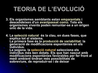 TEORIA DE L’EVOLUCIÓ 3. Els organismes semblants estan  emparentats  i descendeixen d'un  avantpassat comú . Tots els organismes vivents poden remuntar-se a un origen únic de la vida. 4. La  selecció natural   és la clau, en dues fases, que explica tot el sistema.  La primera fase és la  producció de variabilitat : la generació de modificacions espontànies en els individus.  La segona, la  selecció natural  selecciona els  individus més ben dotats. Els que han nascut amb modificacions espontànies favorables per fer front al medi ambient tindran més possibilitats de sobreviure, de reproduir-se i de deixar  
