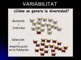 VARIABILITAT 
