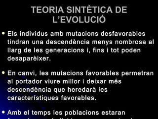 TEORIA SINTÈTICA DE L’EVOLUCIÓ Els individus amb mutacions desfavorables tindran una descendència menys nombrosa al llarg de les generacions i, fins i tot poden desaparèixer. En canvi, les mutacions favorables permetran al portador viure millor i deixar més descendència que heredarà les característiques favorables. Amb el temps les poblacions estaran formades per individus que presenten les característiques més favorables. 