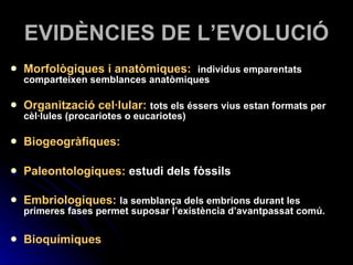 EVIDÈNCIES DE L’EVOLUCIÓ Morfològiques i anatòmiques:  individus emparentats comparteixen semblances anatòmiques Organització cel·lular:  tots els éssers vius estan formats per cèl·lules (procariotes o eucariotes) Biogeogràfiques:   Paleontologiques:  estudi dels fòssils Embriologiques:  la semblança dels embrions durant les primeres fases permet suposar l’existència d’avantpassat comú. Bioquímiques 