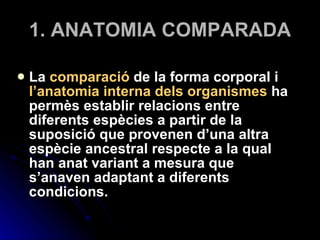 1. ANATOMIA COMPARADA La  comparació  de la forma corporal i  l’anatomia interna dels organismes  ha permès establir relacions entre diferents espècies a partir de la suposició que provenen d’una altra espècie ancestral respecte a la qual han anat variant a mesura que s’anaven adaptant a diferents condicions.  