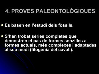 4. PROVES PALEONTOLÒGIQUES Es basen en l’estudi dels fòssils.  S’han trobat sèries completes que demostren el pas de formes senzilles a formes actuals, més complexes i adaptades al seu medi (filogènia del cavall).  