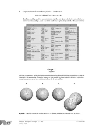 Desafios, Biologia e Geologia 11.º ano
© ASA, 2014
Página 4 de 10
8. A seguinte sequência nucleotídica pertence a uma bactéria:
CGA UCG GAA CCA CGU GAU AAG CAU
Com base nocódigo genético apresentado em seguida, prev eja as principais consequências na
síntese proteica da adiçãode um nucleótidode adenina na primeira posiçãoda referida sequência.
Grupo II
Mitose
A mitose foi descoberta por Walther Flemming,que observou células extraídas das barbatanas e guelras de
uma espécie de salamandra. Flemming usou o corante azul de anilina, que cora de forma específica a
cromatina, para caracterizar as diferentes fases de div isão celular.
Figura 2 – Algumas fases de div isão mitótica. A cromatina foi marcada com azul de anilina.
 