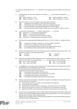 Desafios, Biologia e Geologia 11.º ano
© ASA, 2014
Página 5 de 10
Na resposta a cada um dos itens de 1 . a 7 ., selecione a única opção que permite obter uma afirmação
correta.
1. As salamandras, talcomoas rãs, possuem circulação _____ cujo coração é formado por _____
cav idades.
(A) dupla completa (…) três
(B) dupla incompleta (…) três
(C) dupla completa (…) quatro
(D) dupla incompleta (…) quatro
2. Durante a mitose, o material genético original da célula parental…
(A) … é duplicado e transmitido à única célula-filha resultante.
(B) … é div ido pelas duas células-filhas resultantes e depois é duplicado.
(C) … é primeiro duplicado e depois div idido pelas duas células-filhas.
(D) … é div ido pelas duas células -filhas, ficando estas com metade da v alência nuclear.
3. A cromatina é composta por ____ e DNA, o que facilita ____ no núcleo.
(A) proteínas (…) a transcrição da dupla hélice
(B) lípidos (…) a transcrição da dupla hélice
(C) lípidos (…) o empacotamento da molécula de DNA
(D) proteínas (…) o empacotamento da molécula de DNA
4. Relativamente aos esquemas identificadas pelas letras A, B, C e D na figura 2, podemos afirmar
que…
(A) … a imagem C antecede a imagem A, e esta diz respeito à metáfase.
(B) ... B representa a anáfase que antecede a metáfase.
(C) … em A a quantidade de DNA é metade da quantidade de DNA em B.
(D) … os cromossomas são formados por dois cromatídios em D.
5. Após a conclusãoda mitose, ocorre um estrangulamento do citoplasma que termina com a sua
div isão atrav és de um processo designado por…
(A) … interfase.
(B) … metáfase.
(C) … citocinese.
(D) … anáfase.
6. SendoQ a quantidade de DNA existente durante a interfase do ciclo celular, durante a prófase
podemos representar essa quantidade por _____ e os cromossomas são formados por _____.
(A) Q/2 (…) dois cromatídios
(B) 2Q (…) dois cromatídios
(C) 2Q (…) um cromatídio
(D) Q/2 (…) um cromatídio
7. A v imblastina é uma droga usada normalmente em quimioterapia no tratamento de cancros,
impossibilitando a agregação dos microtúbulos.
No contextoda mitose, notratamentode um cancronum tecidocomposto por células somáticas, a
v imblastina dev erá impedir a separação dos…
(A) … cromatídios, aumentando a div isão celular.
(B) … cromossomas homólogos, aumentando a div isão celular.
(C) … cromatídios, diminuindo a div isão celular.
(D) … cromossomas homólogos, diminuindo a div isão celular.
8. Ordene as letras de A a E de modoa reconstituir a sequência cronológica de acontecimentos que
ocorrem durante o ciclo celular.
A. Formação da membrana nuclear e div isão completa do citoplasma.
B. Formação do fuso acromático.
C. Compactação e enrolamento de cromossomas, tornando-se mais curtos e densos.
D. Rutura do centrómero, em que os cromatídios de cada cromossoma se separam.
E. Replicação do DNA com formação de cromossomas formados por dois cromatídios.
9. O crescimento,a regeneraçãode tecidos e a diferenciaçãocelular têm por base divisões mitóticas de
células com omesmoconteúdogenético.É possív el, em casos particulares, rev erter o processo de
diferenciação e originar células indiferenciadas.
Explique em que medida a mitose é importante para possibilitar estes processos de diferenciação e
obtenção de células indiferenciadas.
 