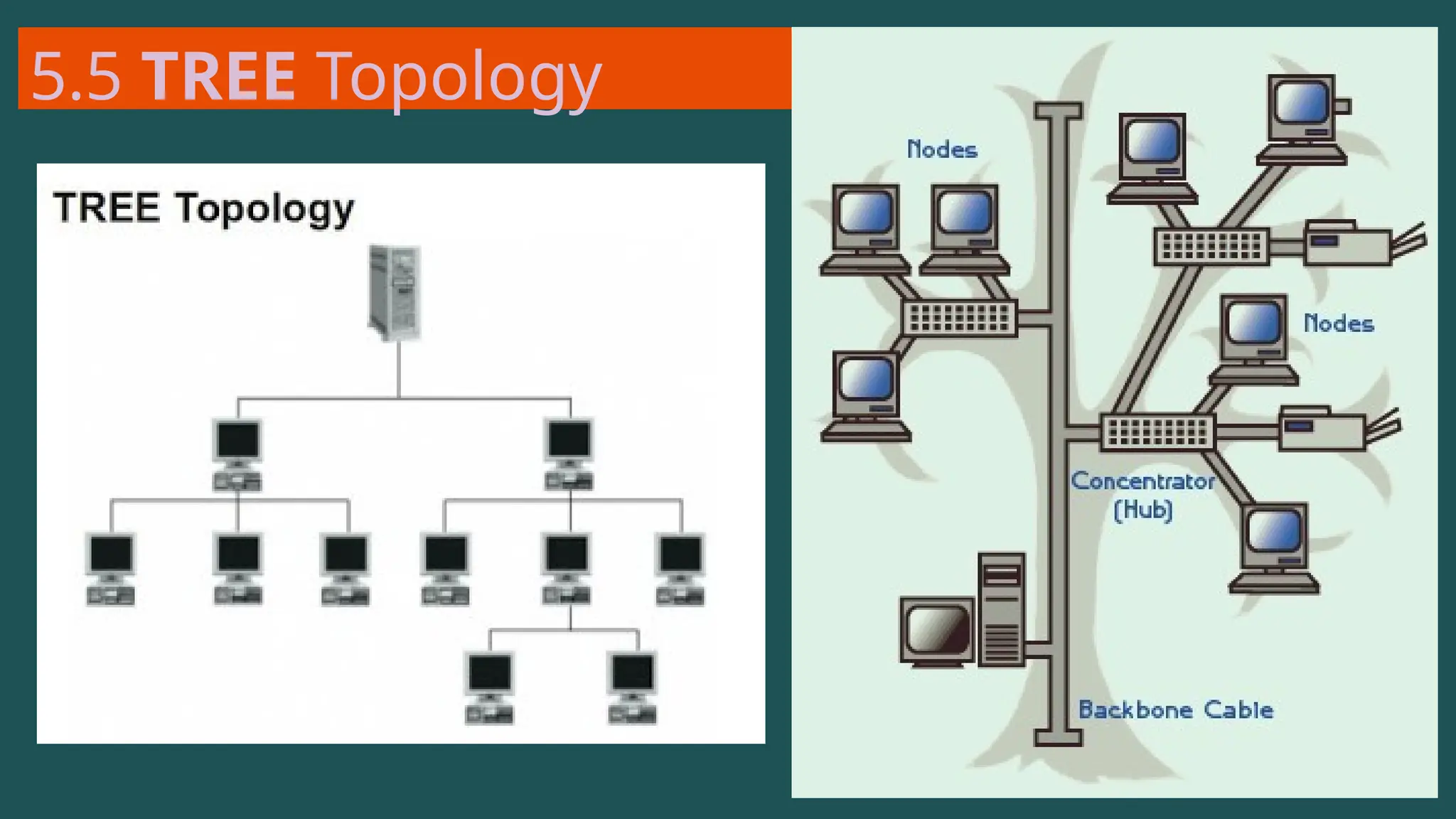 5.5 TREE Topology
 