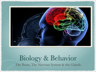 Biology & Behavior
The Brain, The Nervous System & the Glands
 