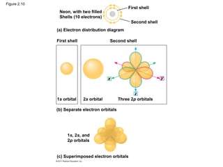 02 the chemical context of life | PPT