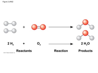 02 the chemical context of life | PPT