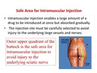 02 THE GLUTEAL REGION-AN OVERVIEW OF KURIA SERIES.pptx