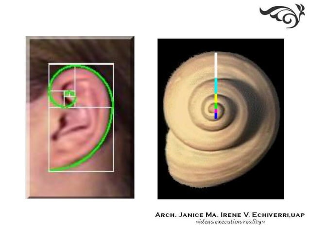 02 theories of proportion | PPT