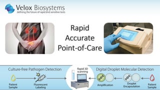 Rapid
Accurate
Point-of-Care
 