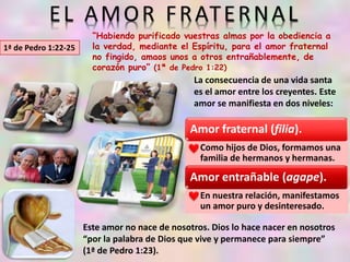 EL AMOR FRATERNAL
1ª de Pedro 1:22-25
“Habiendo purificado vuestras almas por la obediencia a
la verdad, mediante el Espíritu, para el amor fraternal
no fingido, amaos unos a otros entrañablemente, de
corazón puro” (1ª de Pedro 1:22)
La consecuencia de una vida santa
es el amor entre los creyentes. Este
amor se manifiesta en dos niveles:
Amor fraternal (filia).
Como hijos de Dios, formamos una
familia de hermanos y hermanas.
Amor entrañable (agape).
En nuestra relación, manifestamos
un amor puro y desinteresado.
Este amor no nace de nosotros. Dios lo hace nacer en nosotros
“por la palabra de Dios que vive y permanece para siempre”
(1ª de Pedro 1:23).
 