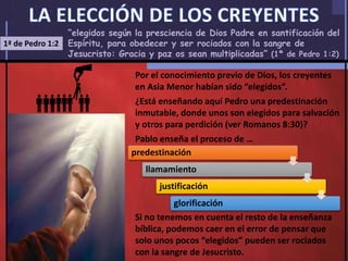 1ª de Pedro 1:2
“elegidos según la presciencia de Dios Padre en santificación del
Espíritu, para obedecer y ser rociados con la sangre de
Jesucristo: Gracia y paz os sean multiplicadas” (1ª de Pedro 1:2)
Por el conocimiento previo de Dios, los creyentes
en Asia Menor habían sido “elegidos”.
¿Está enseñando aquí Pedro una predestinación
inmutable, donde unos son elegidos para salvación
y otros para perdición (ver Romanos 8:30)?
Pablo enseña el proceso de …
Si no tenemos en cuenta el resto de la enseñanza
bíblica, podemos caer en el error de pensar que
solo unos pocos “elegidos” pueden ser rociados
con la sangre de Jesucristo.
predestinación
llamamiento
justificación
glorificación
 