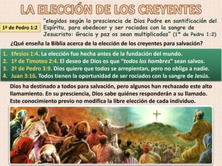 1ª de Pedro 1:2
“elegidos según la presciencia de Dios Padre en santificación del
Espíritu, para obedecer y ser rociados con la sangre de
Jesucristo: Gracia y paz os sean multiplicadas” (1ª de Pedro 1:2)
¿Qué enseña la Biblia acerca de la elección de los creyentes para salvación?
1. Efesios 1:4. La elección fue hecha antes de la fundación del mundo.
2. 1ª de Timoteo 2:4. El deseo de Dios es que “todos los hombres” sean salvos.
3. 2ª de Pedro 3:9. Dios quiere que todos se arrepientan, pero no obliga a nadie.
4. Juan 3:16. Todos tienen la oportunidad de ser rociados con la sangre de Jesús.
Dios ha destinado a todos para salvación, pero algunos han rechazado este alto
llamamiento. En su presciencia, Dios sabe quiénes responderán a su llamado.
Este conocimiento previo no modifica la libre elección de cada individuo.
 