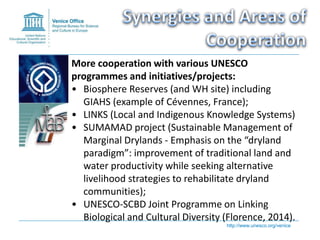 http://www.unesco.org/venice
More cooperation with various UNESCO
programmes and initiatives/projects:
• Biosphere Reserve...