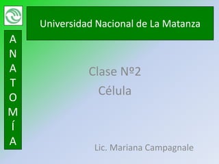 Universidad Nacional de La Matanza
A
N
A             Clase Nº2
T
O
                Célula
M
Í
A              Lic. Mariana Campagnale
 