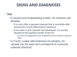 Negative Rubeosis common eye disorder : uveitis ppt (infamation of uvea) | PPTX
