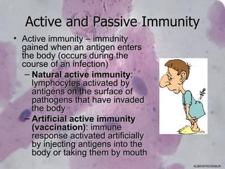 Active and Passive Immunity
• Active immunity – immunity
  gained when an antigen enters
  the body (occurs during the
  course of an infection)
   – Natural active immunity:
     lymphocytes activated by
     antigens on the surface of
     pathogens that have invaded
     the body
   – Artificial active immunity
     (vaccination): immune
     response activated artificially
     by injecting antigens into the
     body or taking them by mouth
                                       ALBIO9700/2006JK
 