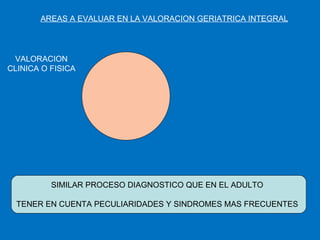 AREAS A EVALUAR EN LA VALORACION GERIATRICA INTEGRAL VALORACION CLINICA O FISICA SIMILAR PROCESO DIAGNOSTICO QUE EN EL ADULTO TENER EN CUENTA PECULIARIDADES Y SINDROMES MAS FRECUENTES 