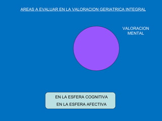 AREAS A EVALUAR EN LA VALORACION GERIATRICA INTEGRAL VALORACION MENTAL EN LA ESFERA COGNITIVA EN LA ESFERA AFECTIVA 