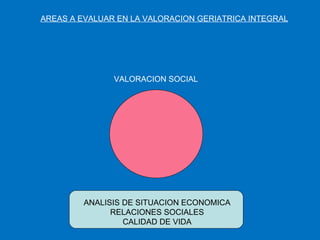 AREAS A EVALUAR EN LA VALORACION GERIATRICA INTEGRAL VALORACION SOCIAL ANALISIS DE SITUACION ECONOMICA RELACIONES SOCIALES CALIDAD DE VIDA 