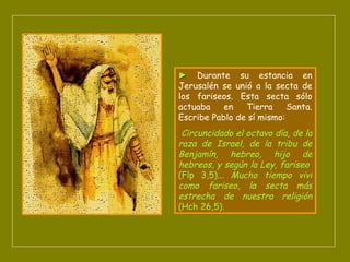 ►   Durante su estancia en Jerusalén se unió a la secta de los fariseos. Esta secta sólo actuaba en Tierra Santa. Escribe Pablo de sí mismo: Circuncidado el octavo día, de la raza de Israel, de la tribu de Benjamín, hebreo, hijo de hebreos, y según la Ley, fariseo   (Flp 3,5)...  Mucho tiempo viví como fariseo, la secta más estrecha de nuestra religión  (Hch 26,5). 