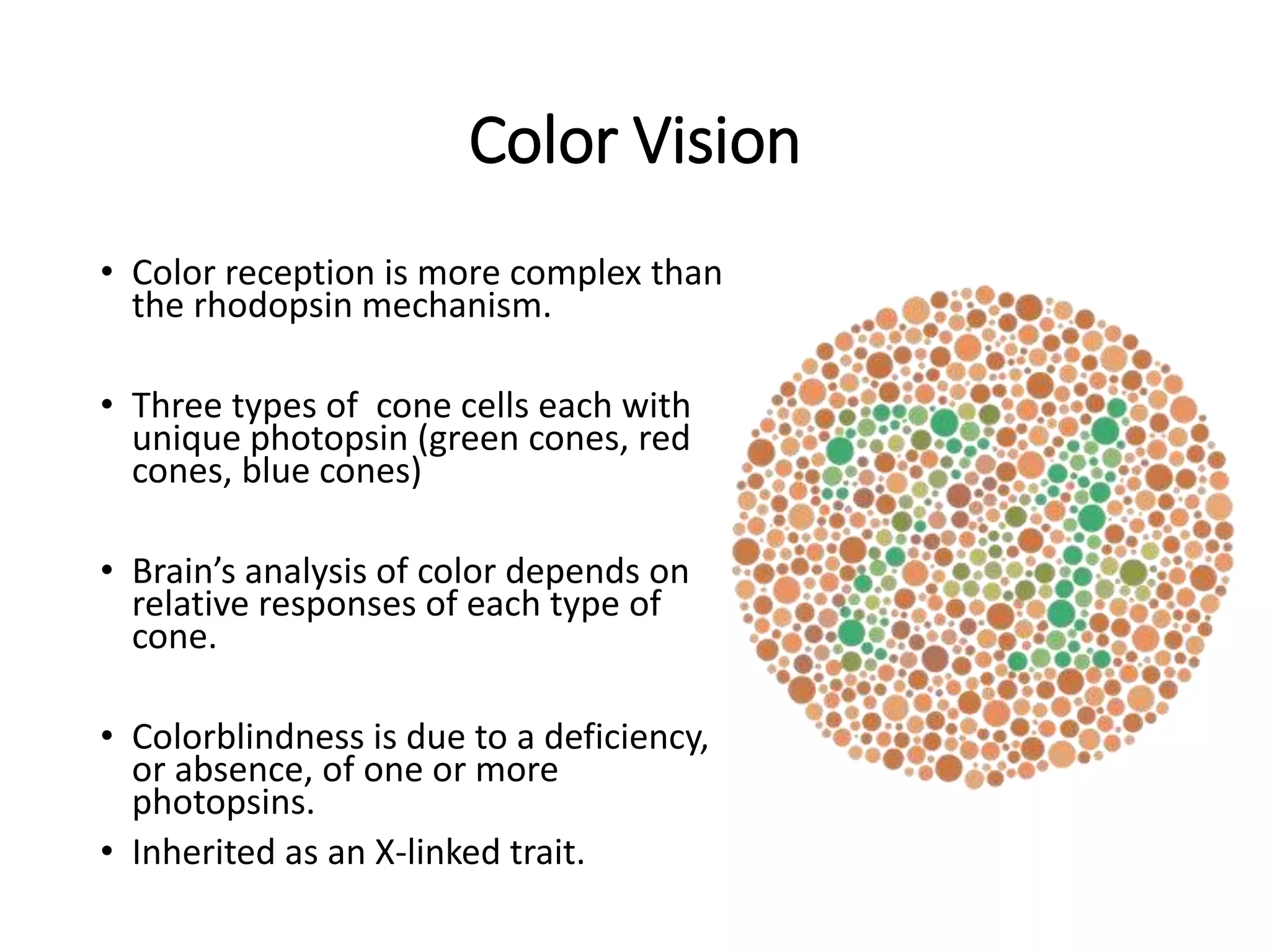 Vision pptx