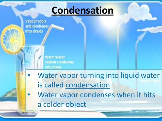 An Introduction to Water