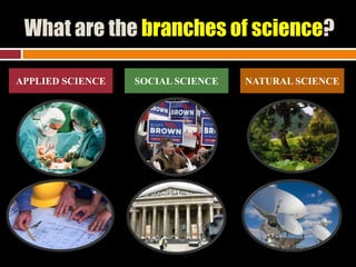 What are the branches of science?
APPLIED SCIENCE

SOCIAL SCIENCE

NATURAL SCIENCE

 