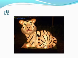虎
 