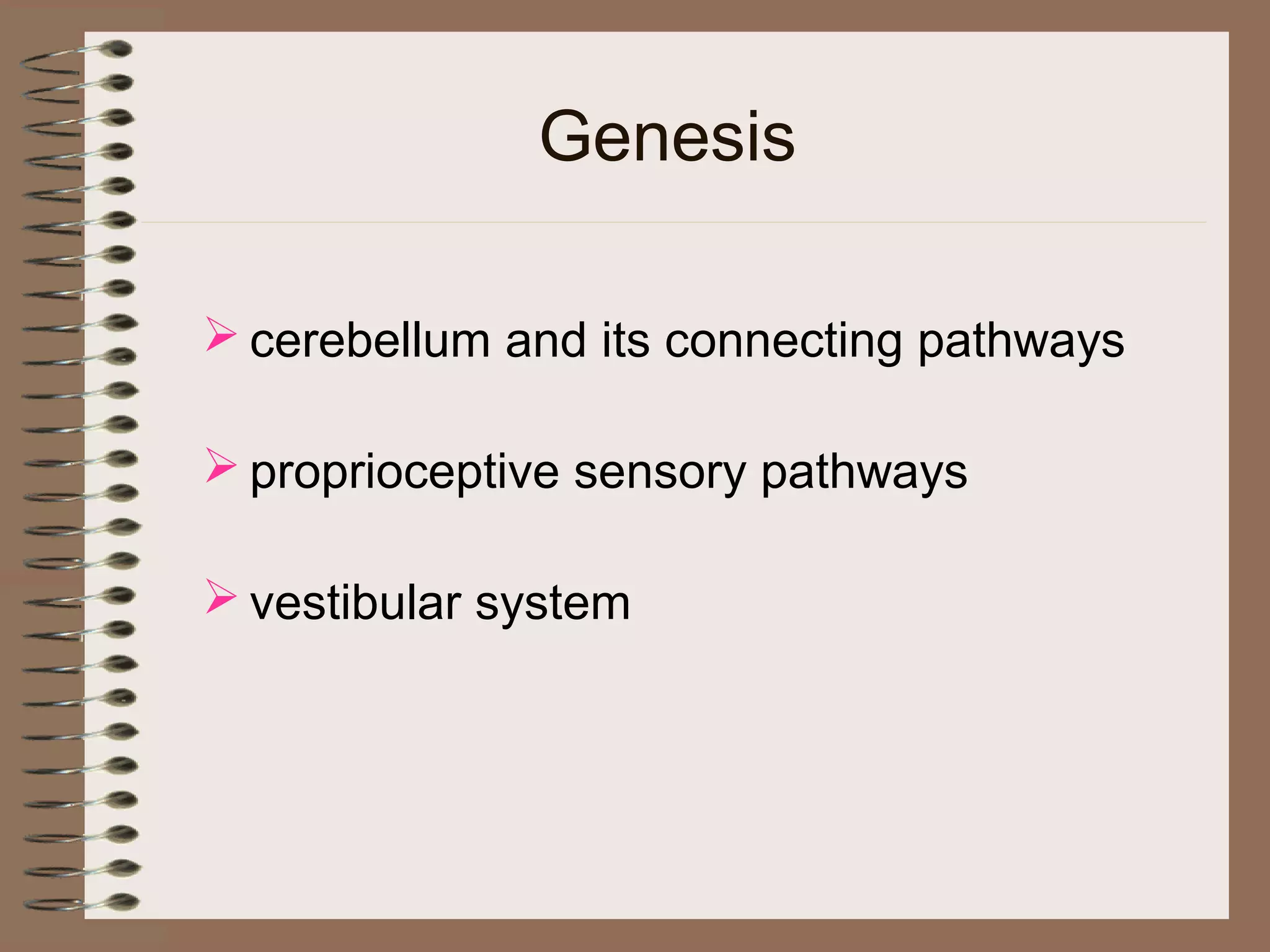 Genesis
 cerebellum and its connecting pathways
 proprioceptive sensory pathways
 vestibular system
 