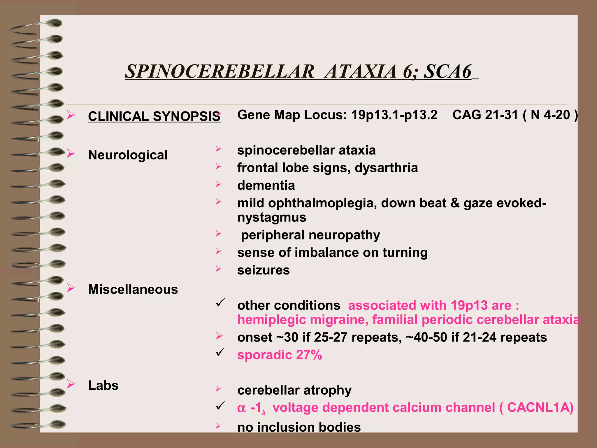 SPINOCEREBELLAR ATAXIA 6; SCA6
 CLINICAL SYNOPSIS
 Neurological
 Miscellaneous
 Labs
 Gene Map Locus: 19p13.1-p13.2 CAG 21-31 ( N 4-20 )
 spinocerebellar ataxia
 frontal lobe signs, dysarthria
 dementia
 mild ophthalmoplegia, down beat & gaze evoked-
nystagmus
 peripheral neuropathy
 sense of imbalance on turning
 seizures
 other conditions associated with 19p13 are :
hemiplegic migraine, familial periodic cerebellar ataxia
 onset ~30 if 25-27 repeats, ~40-50 if 21-24 repeats
 sporadic 27%
 cerebellar atrophy
 α -1A voltage dependent calcium channel ( CACNL1A)
 no inclusion bodies
 