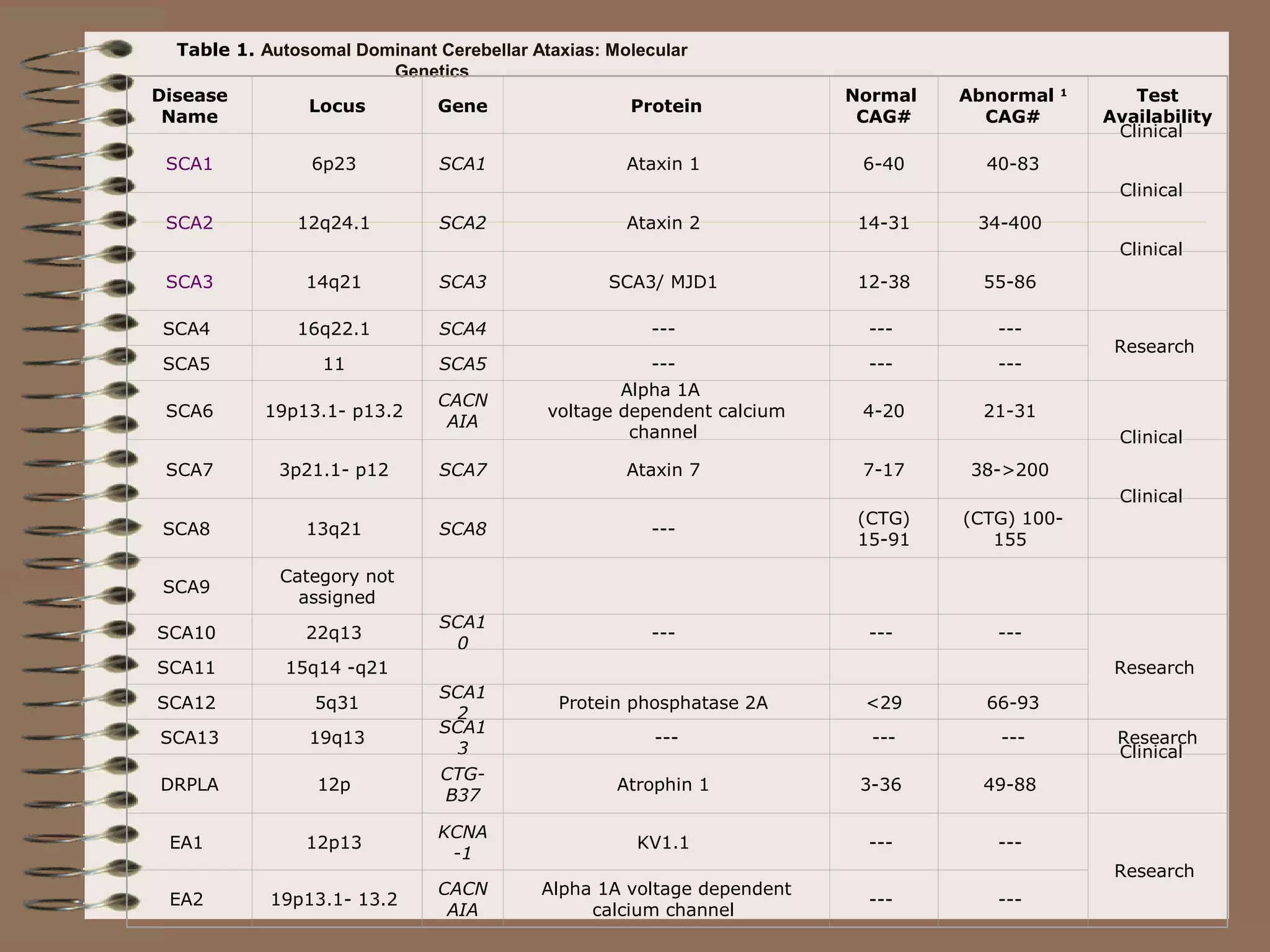 Table 1. Autosomal Dominant Cerebellar Ataxias: Molecular
Genetics
Disease
Name
Locus Gene Protein
Normal
CAG#
Abnormal 1
CAG#
Test
Availability
SCA1 6p23 SCA1 Ataxin 1 6-40 40-83
Clinical
SCA2 12q24.1 SCA2 Ataxin 2 14-31 34-400
Clinical
SCA3 14q21 SCA3 SCA3/ MJD1 12-38 55-86
Clinical
SCA4 16q22.1 SCA4 --- --- ---
Research
SCA5 11 SCA5 --- --- ---
SCA6 19p13.1- p13.2
CACN
AIA
Alpha 1A
voltage dependent calcium
channel
4-20 21-31
SCA7 3p21.1- p12 SCA7 Ataxin 7 7-17 38->200
Clinical
SCA8 13q21 SCA8 ---
(CTG)
15-91
(CTG) 100-
155
Clinical
SCA9
Category not
assigned
SCA10 22q13
SCA1
0
--- --- ---
ResearchSCA11 15q14 -q21
SCA12 5q31
SCA1
2
Protein phosphatase 2A <29 66-93
SCA13 19q13
SCA1
3
--- --- --- Research
DRPLA 12p
CTG-
B37
Atrophin 1 3-36 49-88
Clinical
EA1 12p13
KCNA
-1
KV1.1 --- ---
Research
EA2 19p13.1- 13.2
CACN
AIA
Alpha 1A voltage dependent
calcium channel
--- ---
 
