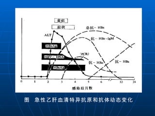 图  急性乙肝血清特异抗原和抗体动态变化  