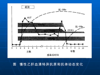 图  慢性乙肝血清特异抗原和抗体动态变化  