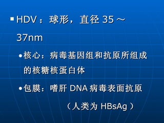 HDV ：球形，直径 35 ～ 37nm 核心：病毒基因组和抗原所组成的核糖核蛋白体 包膜：嗜肝 DNA 病毒表面抗原 （人类为 HBsAg ） 