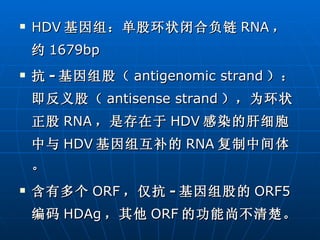 HDV 基因组：单股环状闭合负链 RNA ，约 1679bp 抗 - 基因组股（ antigenomic strand ）：即反义股（ antisense strand ），为环状正股 RNA ，是存在于 HDV 感染的肝细胞中与 HDV 基因组互补的 RNA 复制中间体。 含有多个 ORF ，仅抗 - 基因组股的 ORF5 编码 HDAg ，其他 ORF 的功能尚不清楚。 