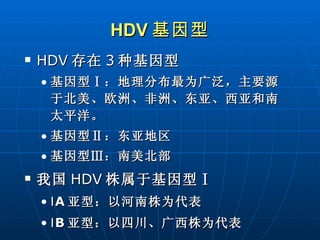 HDV 基因型 HDV 存在 3 种基因型 基因型Ⅰ：地理分布最为广泛，主要源于北美、欧洲、非洲、东亚、西亚和南太平洋。 基因型Ⅱ：东亚地区 基因型Ⅲ：南美北部 我国 HDV 株属于基因型Ⅰ Ⅰ A 亚型：以河南株为代表 Ⅰ B 亚型：以四川、广西株为代表 