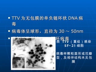 TTV 为无包膜的单负链环状 DNA 病毒 病毒体呈球形，直径为 30 ～ 50nm 类似环状单链 DNA 圆环病毒 图  TTV （重组）感染 SF-21 细胞 病毒样颗粒圆形或花瓣型，及相伴结构未见包膜  