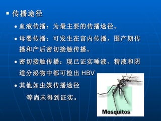 传播途径 血液传播：为最主要的传播途径。 母婴传播：可发生在宫内传播，围产期传播和产后密切接触传播。 密切接触传播：现已证实唾液、精液和阴道分泌物中都可检出 HBV 。 其他如虫媒传播途径 等尚未得到证实。 