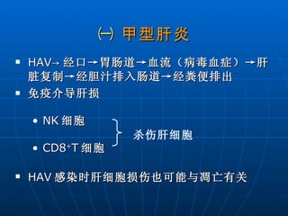 ㈠  甲型肝炎 HAV -> 经口->胃肠道->血流（病毒血症）->肝脏复制->经胆汁排入肠道->经粪便排出 免疫介导肝损 NK 细胞 CD8 + T 细胞 HAV 感染时肝细胞损伤也可能与凋亡有关   杀伤肝细胞 