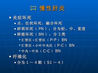 ㈡  慢性肝炎 炎症坏死  点、灶状坏死，融合坏死 碎屑坏死（ PN ）：分为轻、中、重度  桥接坏死（ BN ）：分 3 类 汇管区 - 汇管区（ P-P ） BN 汇管区 - 小叶中央区（ P-C ） BN 中央 - 中央（ C-C ） BN 纤维化 分为 1 ～ 4 期（ S1 ～ 4 ）  