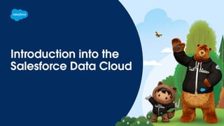 Introduction into the
Salesforce Data Cloud
 