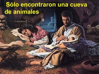 Sólo encontraron una cueva
de animales

 