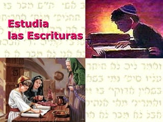 Estudia
las Escrituras