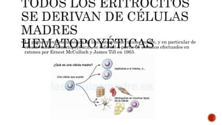 HARPER cap 52 eritrocitos y leucocitos | PPTX