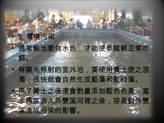 3. 環境污染 通常蝦池要做水色，才能使泰國蝦正常吃餌。 有陽光照射的室外池，要使用黃土使之混濁，很快就會自然生成藍藻和藍綠藻。 用了黃土之後還會酌量添加藍色色素，當水再度流入外雙溪河裡之後，容易對外雙溪造成污染的影響。  