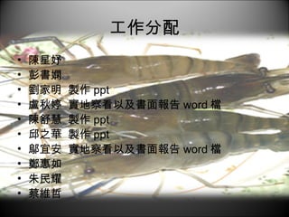 工作分配 陳星妤 彭書嫻  劉家明  製作 ppt 盧秋婷  實地察看以及書面報告 word 檔 陳舒慧  製作 ppt 邱之華  製作 ppt 鄔宜安  實地察看以及書面報告 word 檔 鄭惠如   朱民耀   蔡維哲 
